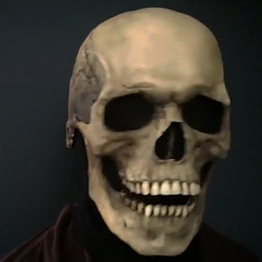 Halloween Movable Mouth Skull Mask